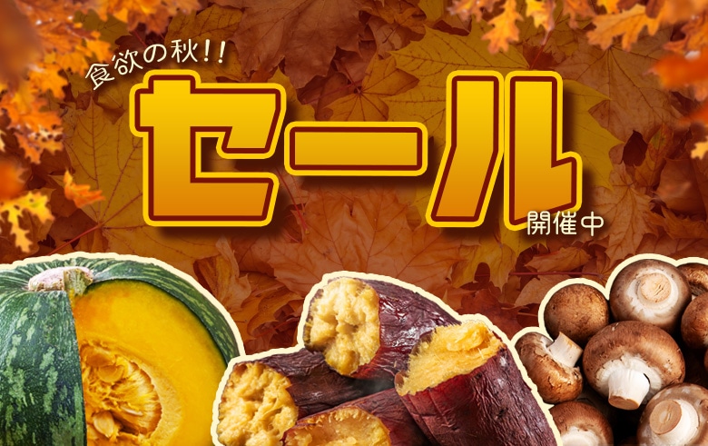 H~̏H!! H̃Z[JÒ!!