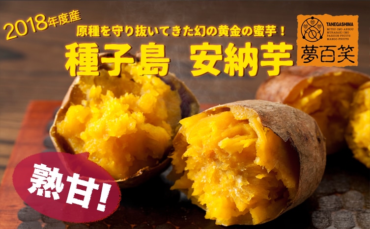 夢百笑の「種子島 安納芋」〜原種を守り抜いてた幻の黄金の蜜芋〜【グルメ産直】