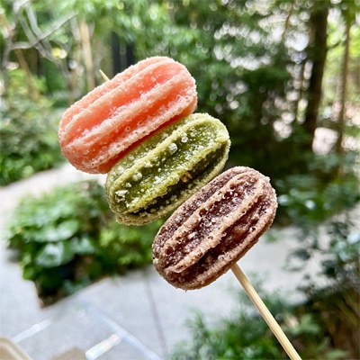 `X4