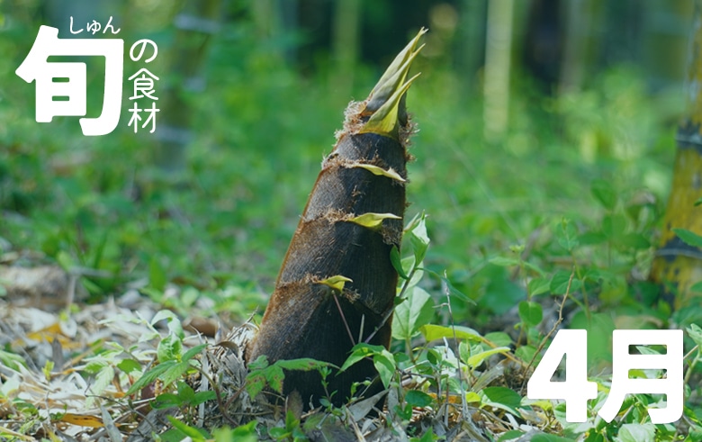 �{�̐H��4��