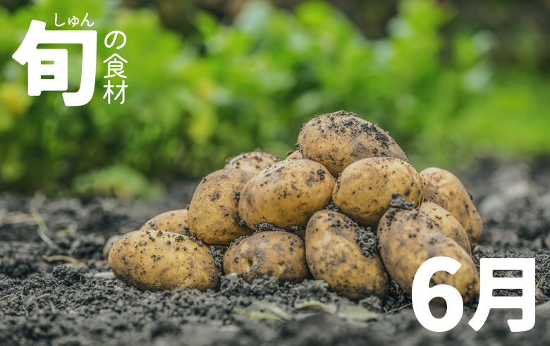 旬の食材6月