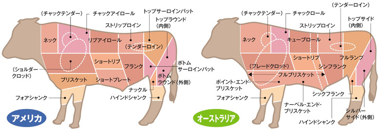 �A�����J�A�I�[�X�g�����A