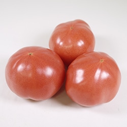 【青果】トマト　１個　（国産）
