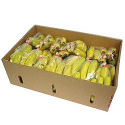 【青果】＜箱出荷＞徳用バナナ　約１７ｋｇ　約２１房　（輸入）