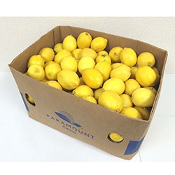 【青果】＜箱出荷＞徳用レモン約１６５玉　約１５ｋｇ　（輸入）
