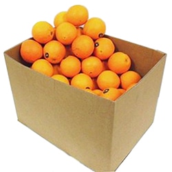 【青果】＜箱出荷＞徳用オレンジ約８８玉　約１５ｋｇ　（輸入）