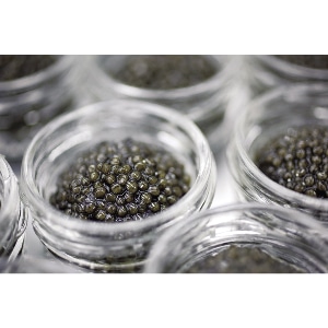 �y�Ɩ��p�E�H�ށz�Z���N�V�����L���r�A�@�e�b�@�T�O��