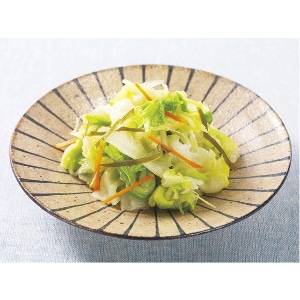 yƖpEHށẑ܂܎g锒؁@TOO