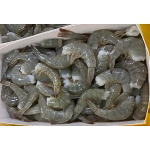 yƖpEHށz_̊CV@oiCCVg^k@hpe@PU^QO@PDW