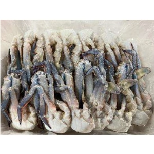 �y�Ɩ��p�E�H�ށz�؂肪�Ɂ@�P����