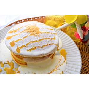 �y�Ɩ��p�E�H�ށz�G�L�]�`�b�N�t���[�c�N�[���[�i�t���[�c�\�[�X�j�@�T�O�O��