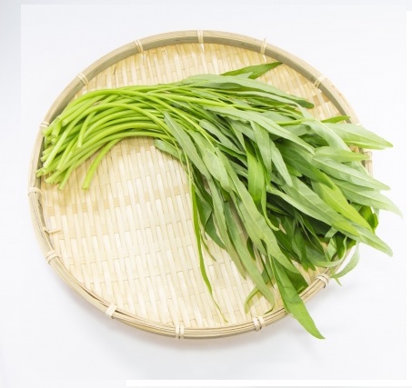 【青果】空芯菜１００ｇ１パック　（国産）