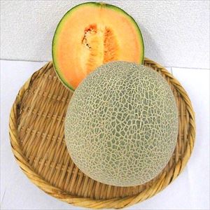 �y�ʁz�ԓ��l�b�g�������@�P�ʁ@�i���Y�j