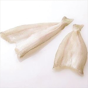 �y�Ɩ��p�E�H�ށz�L�X�J���@�Q�O���@�T�T�O��