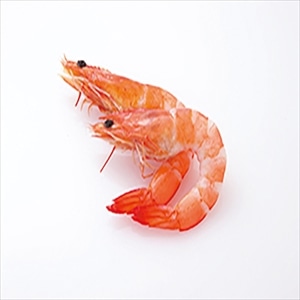 yƖpEHށzL{CނCVRO@TOO