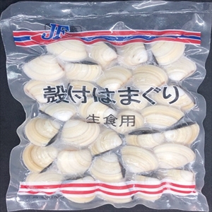 殻付きはまぐり　３１／４０　５００ｇ