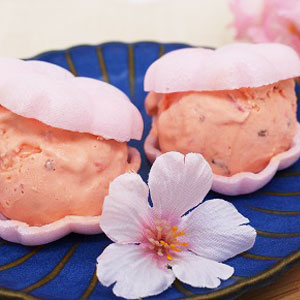 �y�Ɩ��p�E�H�ށz�����Ȃ��̔�@�i�W�g�j