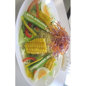 yƖpEHށzJbgR[TZ`@SO