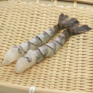 �y�Ɩ��p�E�H�ށz���t���L�΂��C�V�@�u���b�N�^�C�K�[�@�X�k�i�P�R�^�P�S�j�@�P�O��