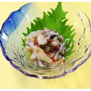 yƖpEHށẑԂ킳@TOO