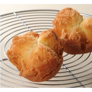 yƖpEHށzT[^A_M[~bNX@P