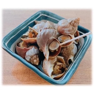 �y�Ɩ��p�E�H�ށz�{�C���G�]�o�C�L�@�P����