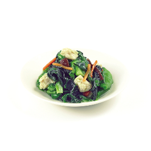 青菜と鶏肉のからし和え　５００ｇ