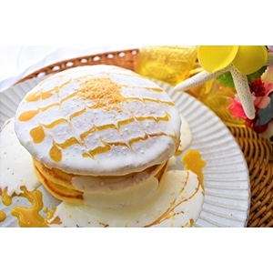 �y�Ɩ��p�E�H�ށz�G�L�]�`�b�N�t���[�c�N�[���[�i�t���[�c�\�[�X�j�@�T�O�O��