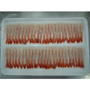 �y�Ɩ��p�E�H�ށz�ÃG�r���L�~�@�T�O�O��