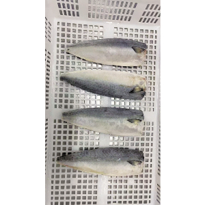 まさばフィーレ（加熱用）　３５尾　５ｋｇ