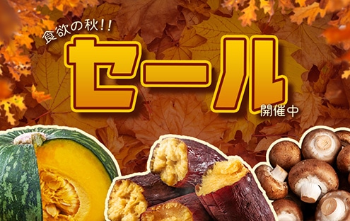 H~̏HIH̃Z[JÒI