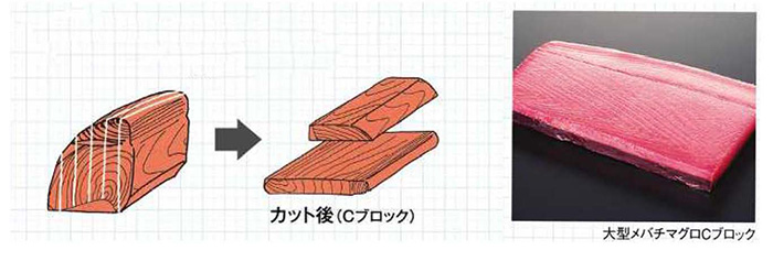 マグロの部位ごとの特徴と用途