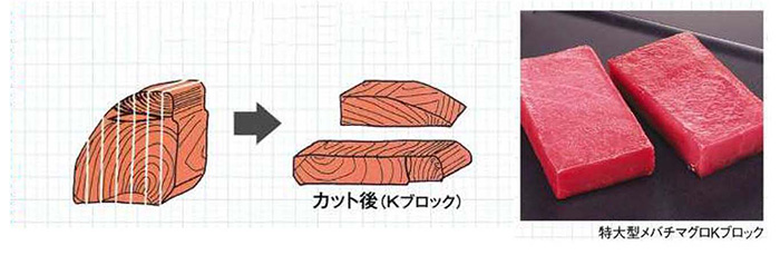 マグロの部位ごとの特徴と用途