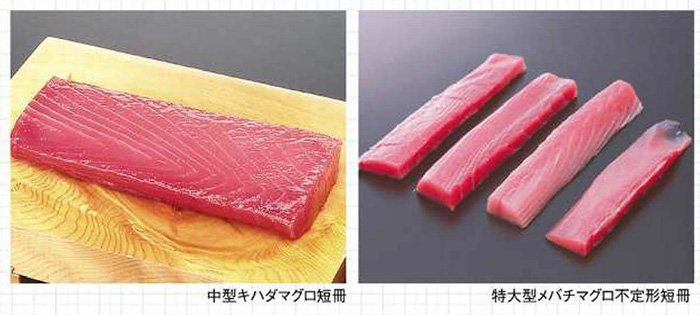 マグロの部位ごとの特徴と用途