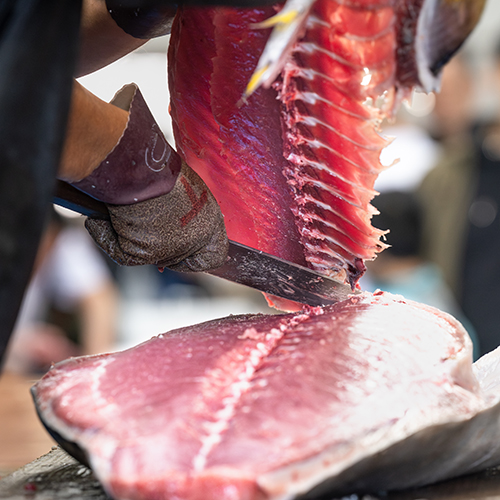 マグロの部位ごとの特徴と用途