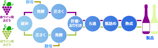 ワインの選び方