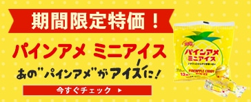 �p�C���A���~�j�A�C�X 